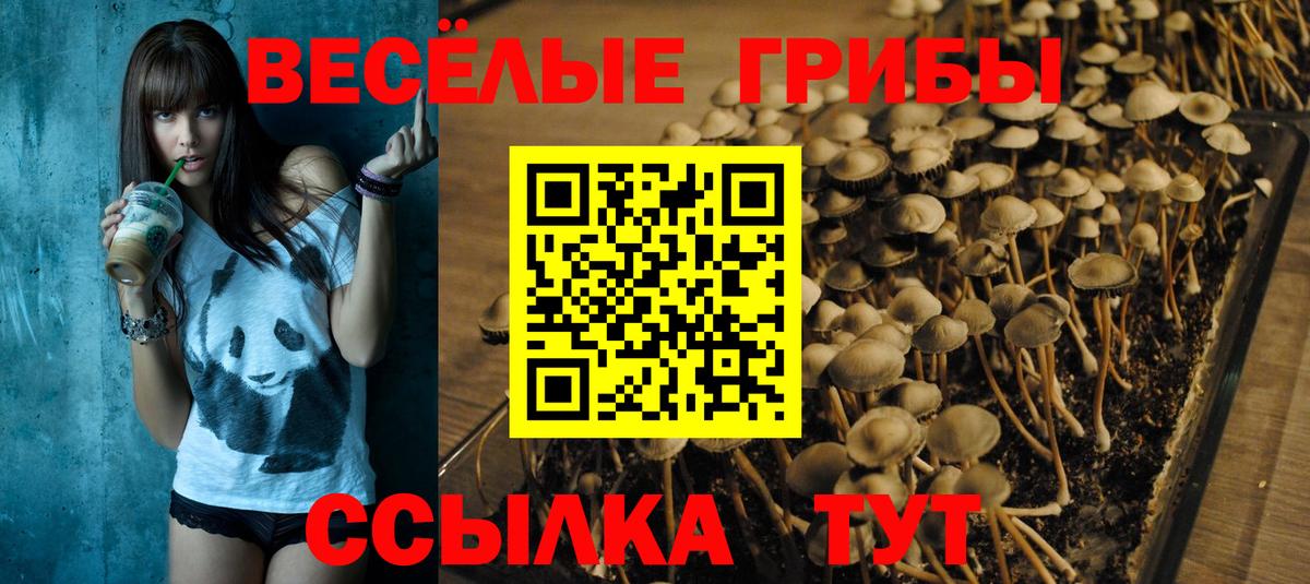 Псилоцибиновые грибы GOLDEN TEACHER Видное